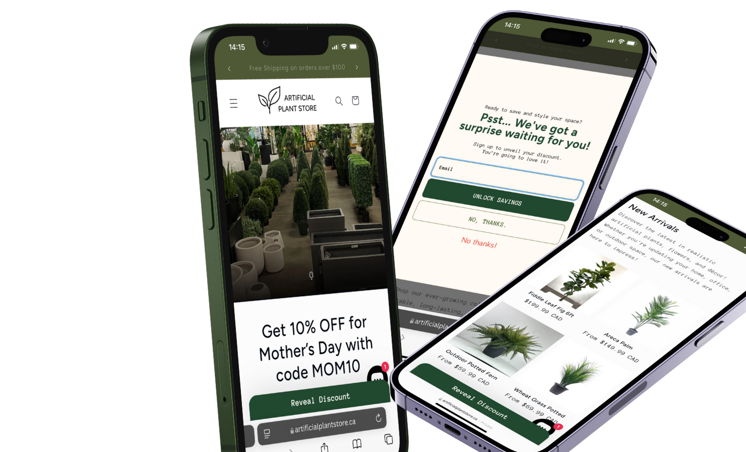Successful Klaviyo Email Marketing Example