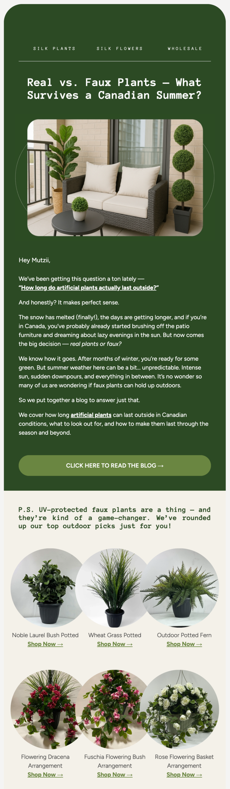 successful email marketing campaign 2
